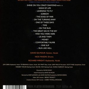 PINK FLOYD - DELICATE SOUND OF THUNDER - Imagen 2