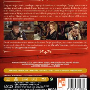 DJANGO - Imagen 2