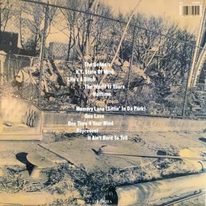 NAS - ILLMATIC - Imagen 2