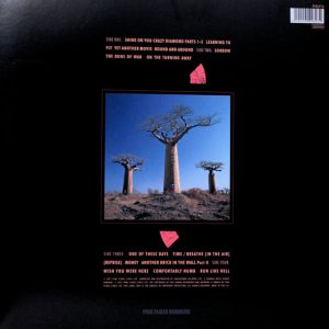 PINK FLOYD - DELICATE SOUND OF THUNDER - Imagen 2