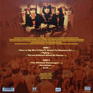 THE FACES - STRAWBERRY MOUNTAIN FAIR VANCOUVER 1978 - Imagen 2