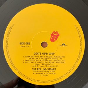 THE ROLLING STONES - GOATS READ SOUP - Imagen 2