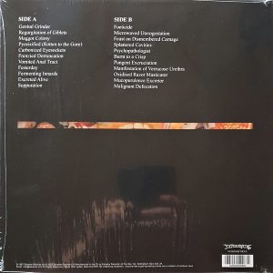 CARCASS - REEK OF PUTREFACTION - Imagen 2