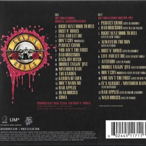 GUNS N ROSES - USE YOUR ILLUSION I - Imagen 2