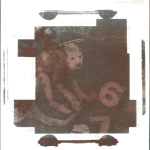 PIXIES - DOOLITTLE - Imagen 3