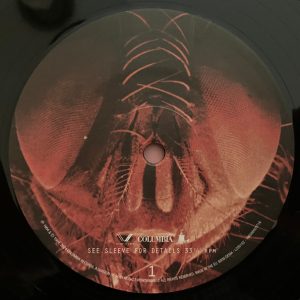 ALICE IN CHAINS - JAR OF FLIES - Imagen 2