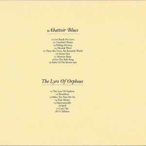 NICK CAVE & THE BAD SEEDS – ABATTOIR BLUES / THE LYRE OF ORPHEUS - Imagen 4