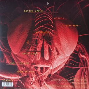 ALICE IN CHAINS - JAR OF FLIES - Imagen 3