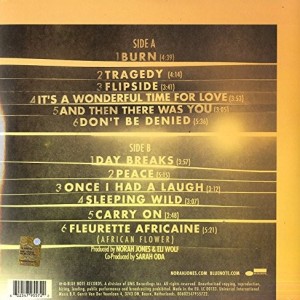 NORAH JONES - DAY BREAKS - Imagen 2