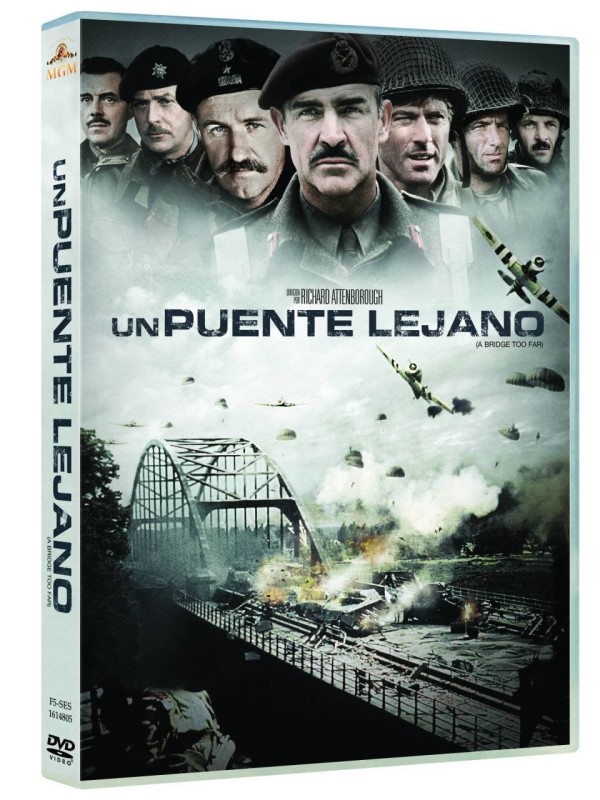 UN PUENTE LEJANO