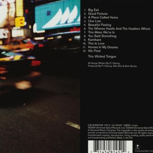 PJ HARVEY - STORIES FROM CITY STORIES FROM THE SEA - Imagen 3