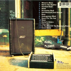 SONIC YOUTH - EXPERIMENTAL JET SET TRASH AND NO STAR - Imagen 2