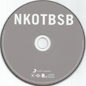 NEW KIDS ON THE BLOCK / BACKSTREET BOYS - NKOTBSB - Imagen 3