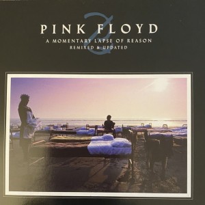 PINK FLOYD - A MOMENTARY LAPSE OF REASON - Imagen 2
