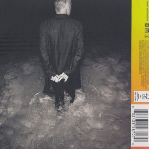 STING - THE BRIDGE - Imagen 2