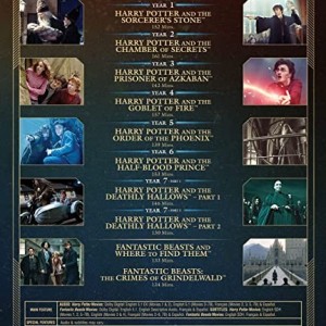 HARRY POTTER / FANTASTIC BEAST - 10-FILM COLLECTION - 20th ANNIVERSAY - Imagen 2