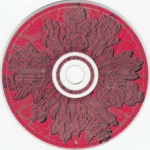 PETER GABRIEL - SECRET WORLD LIVE - Imagen 4