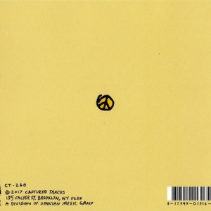 MAC DEMARCO - THIS OLD DOG - Imagen 3