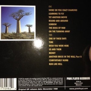 PINK FLOYD - DELICATE SOUND OF THUNDER - Imagen 2